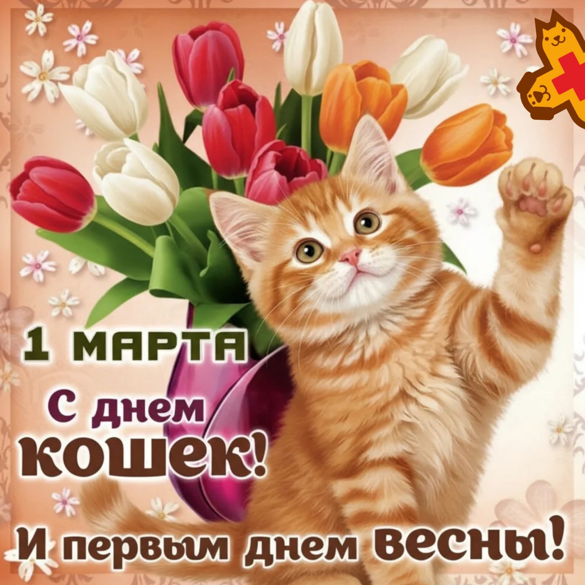1 марта — двойной праздник! 🐱🌸