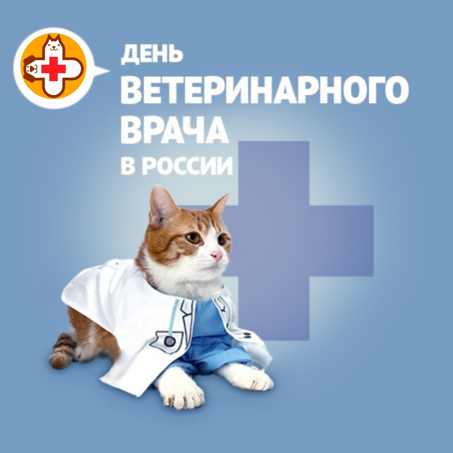 Дорогие друзья! 🎉