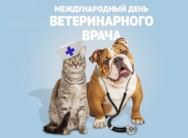 Международный день ветеринарного врача – праздник тех, кто дарит животным здоровье, а люд…