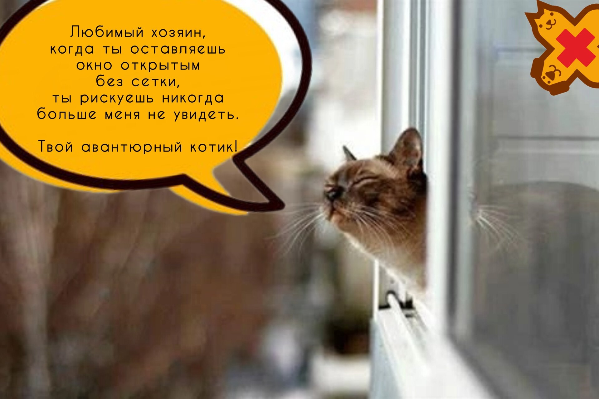 Новость VK #4870