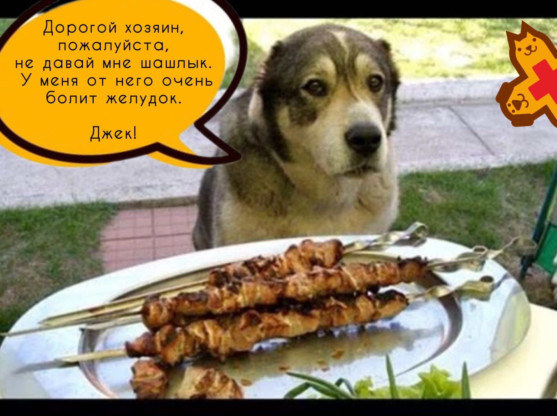 Новость VK #4880