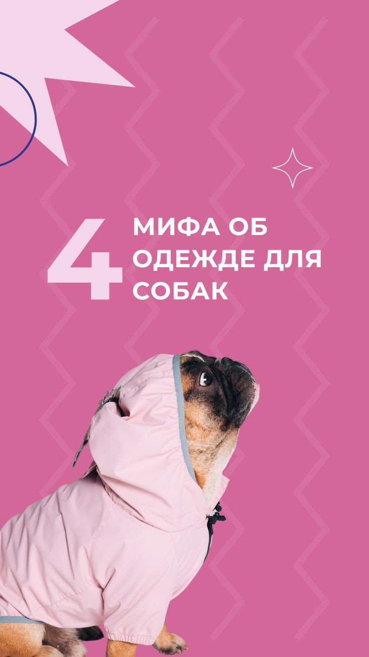 Новость VK #4979