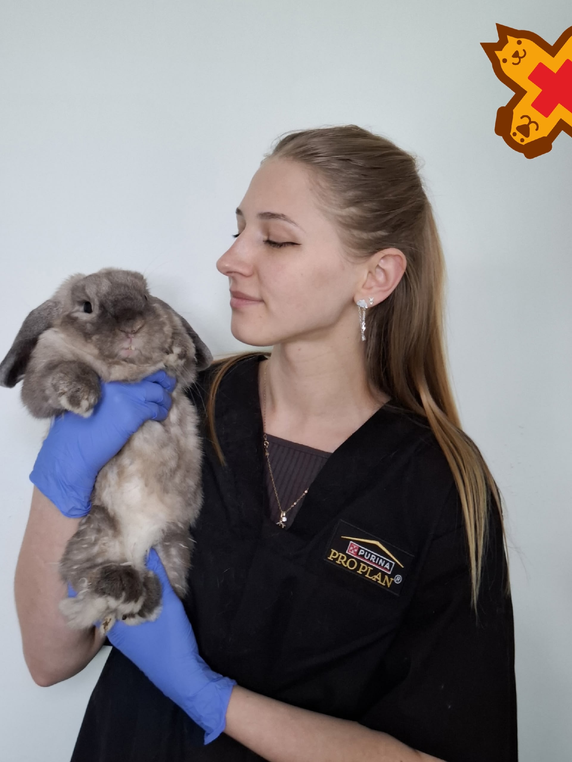 🐰 Познакомьтесь с нашим замечательным пациентом кроликом Барни! 🐾