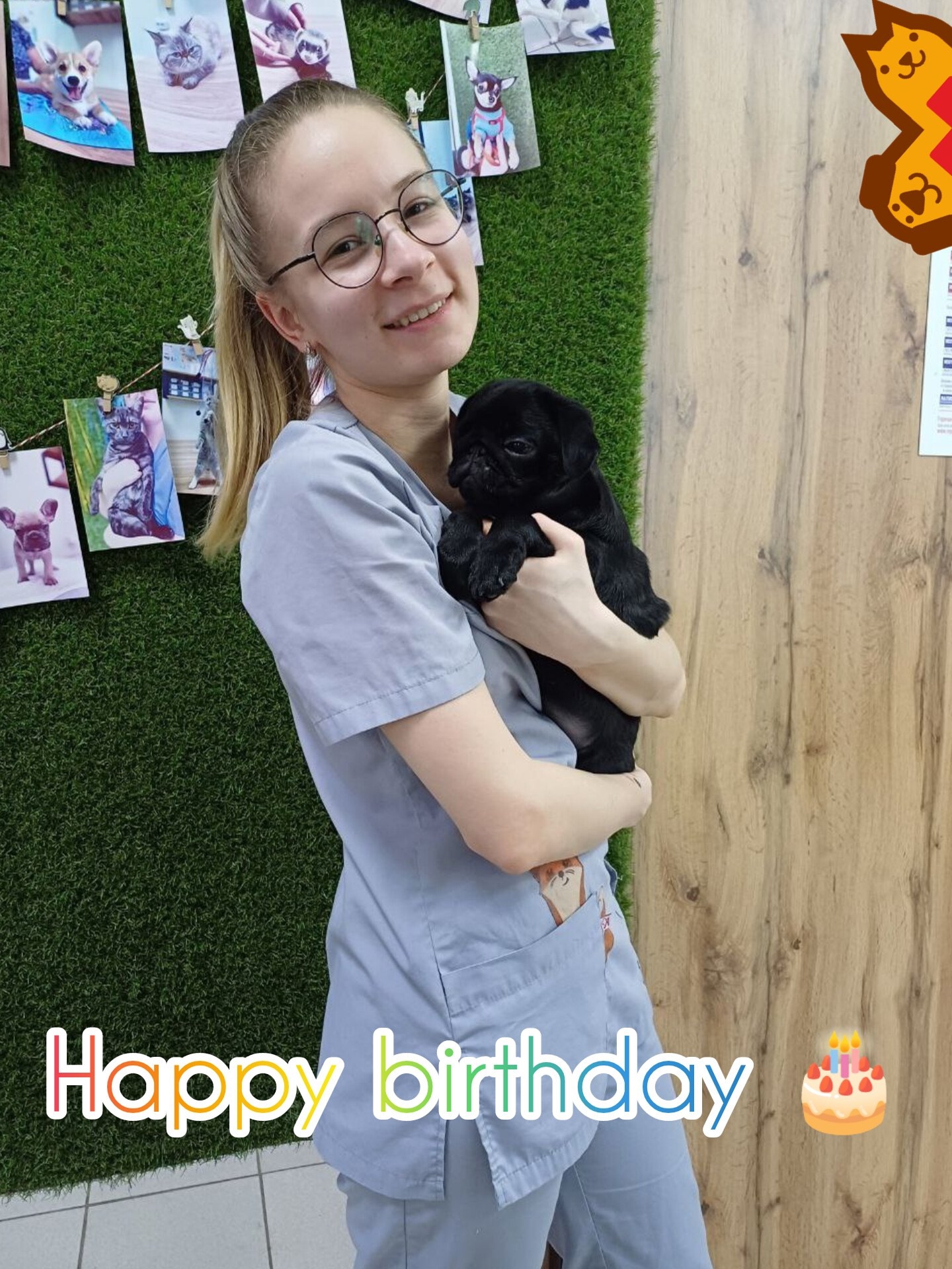 🎉🐾 Сегодня в нашей ветеринарной клинике особенный день — мы поздравляем нашего замечатель…
