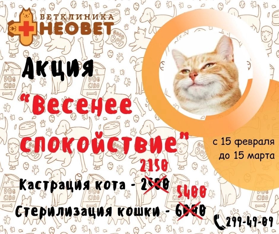 🌸 Весна уже совсем близко, и наши любимые пушистики начинают готовиться к этому яркому се…