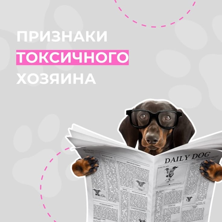 Внимание, розыск! Объявляем в розыск токсичных хозяев! 🚨 (Шутим, конечно... но доля правд…