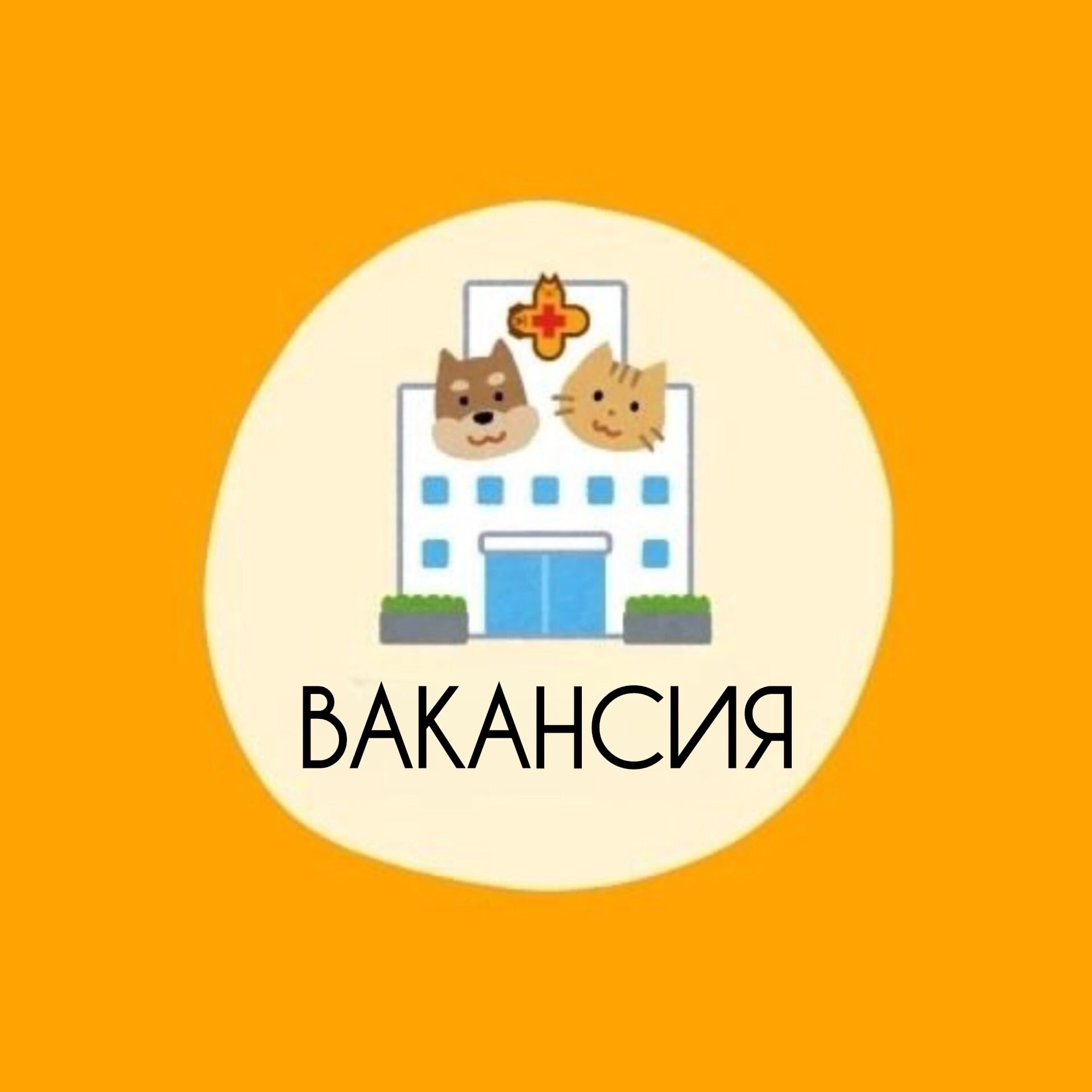 🐾 Внимание! Вакансии в нашей ветеринарной клинике! 🐾